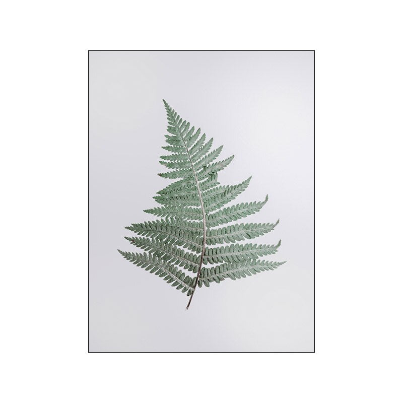 Nordic Leaf Plant Wall Art